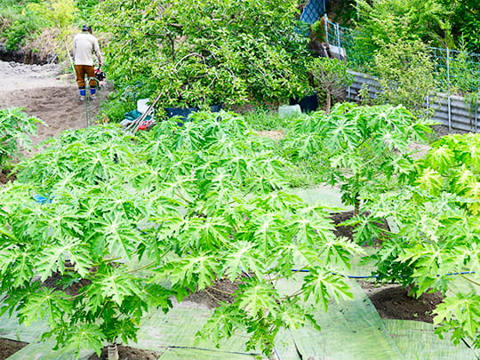 笑顔で、手を振りながら作業をするワーカーさん